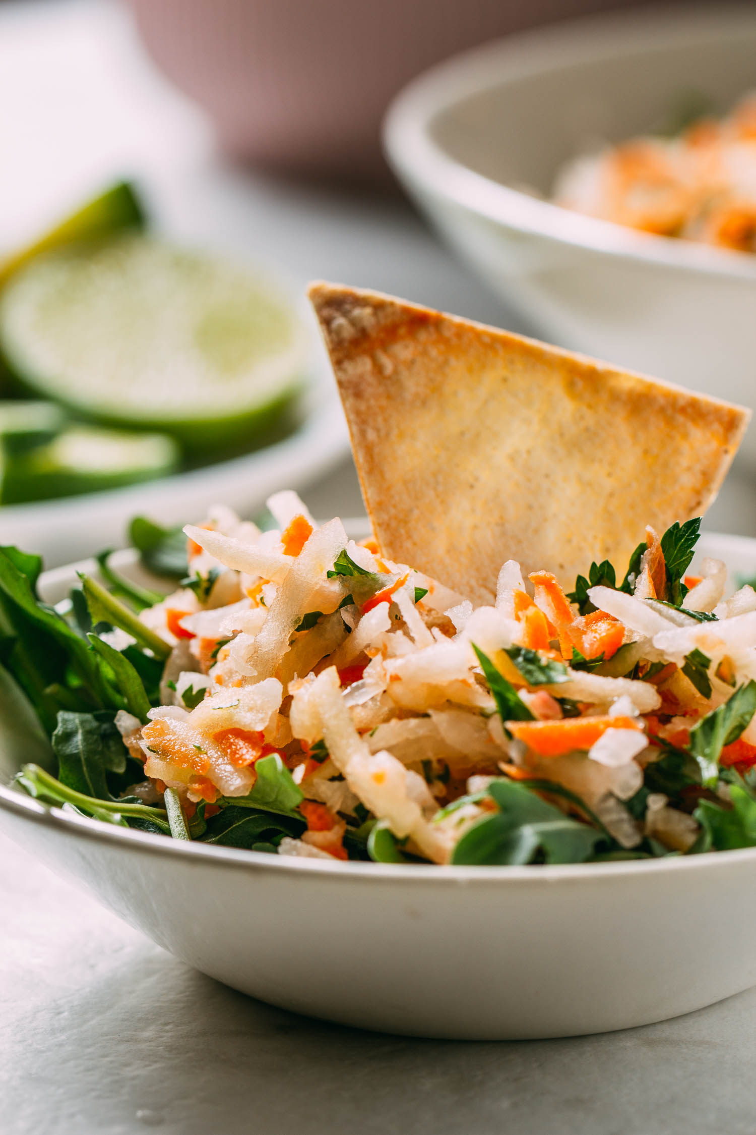 Jicama_Slaw_with_Fresh_Herbs__Arugula_05 VEEG