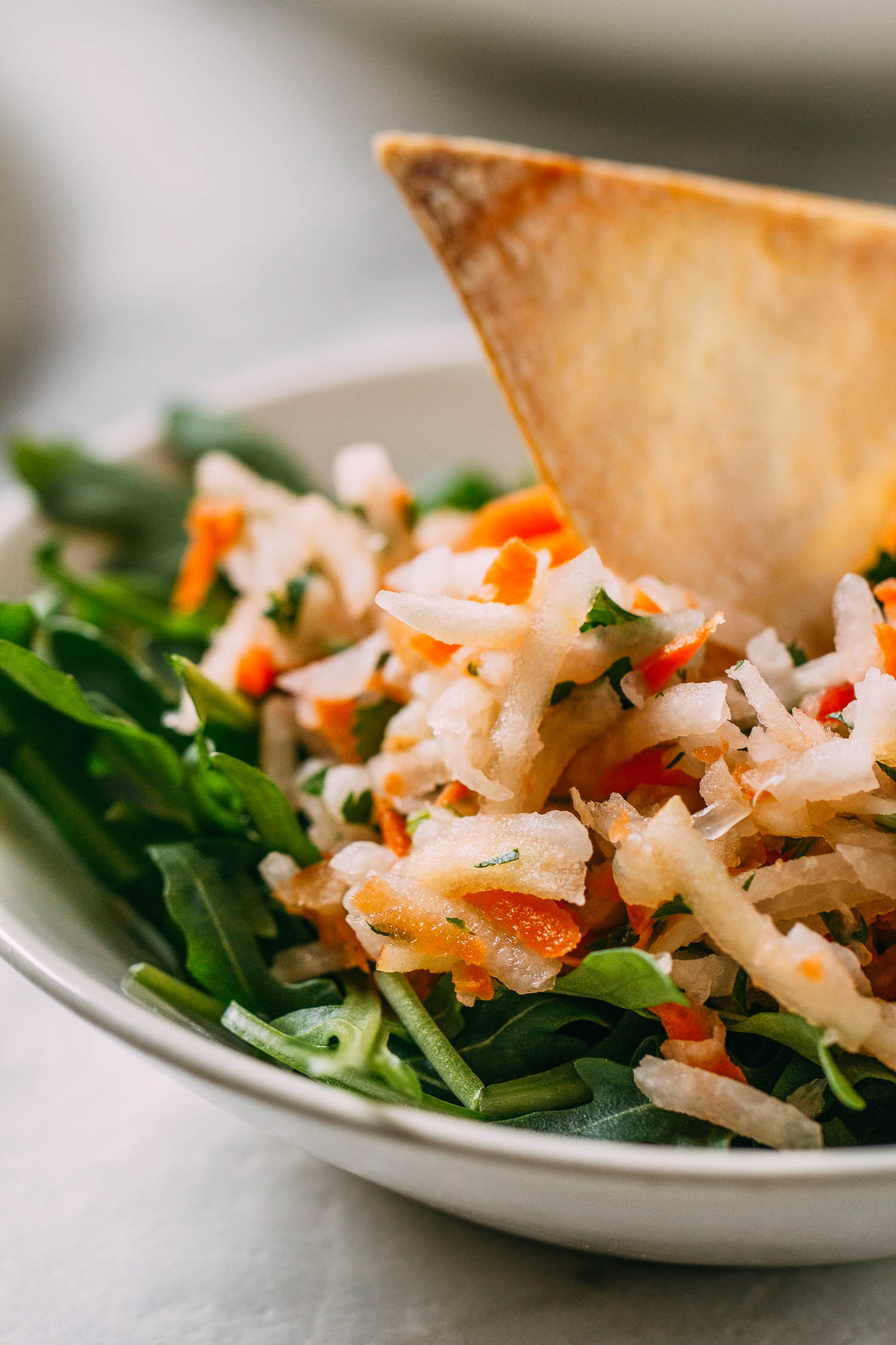 Jicama_Slaw_with_Fresh_Herbs__Arugula_08 VEEG