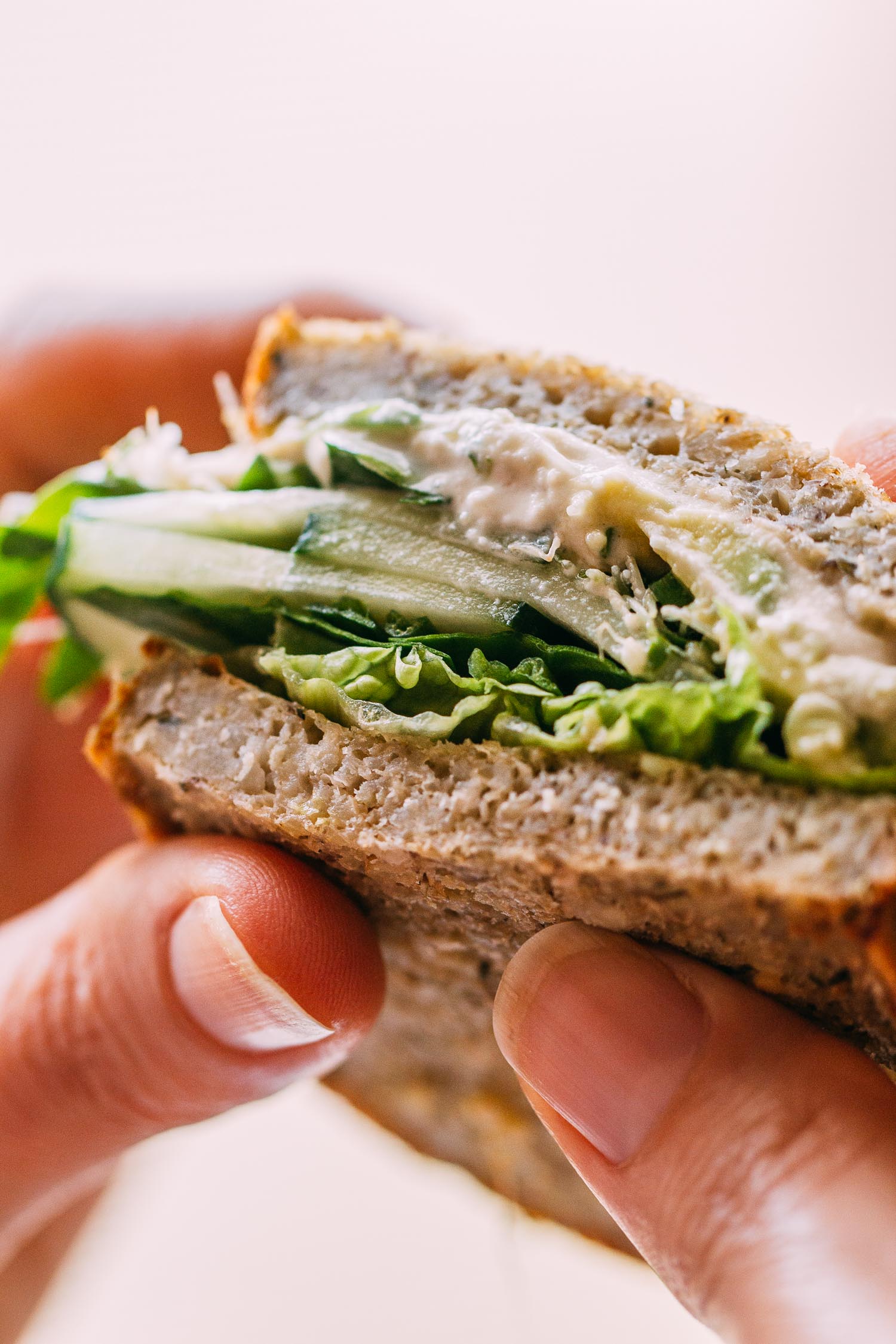 Green Veggie Sandwich with Cucumber, Sprouts & Avocado Recipe VEEG