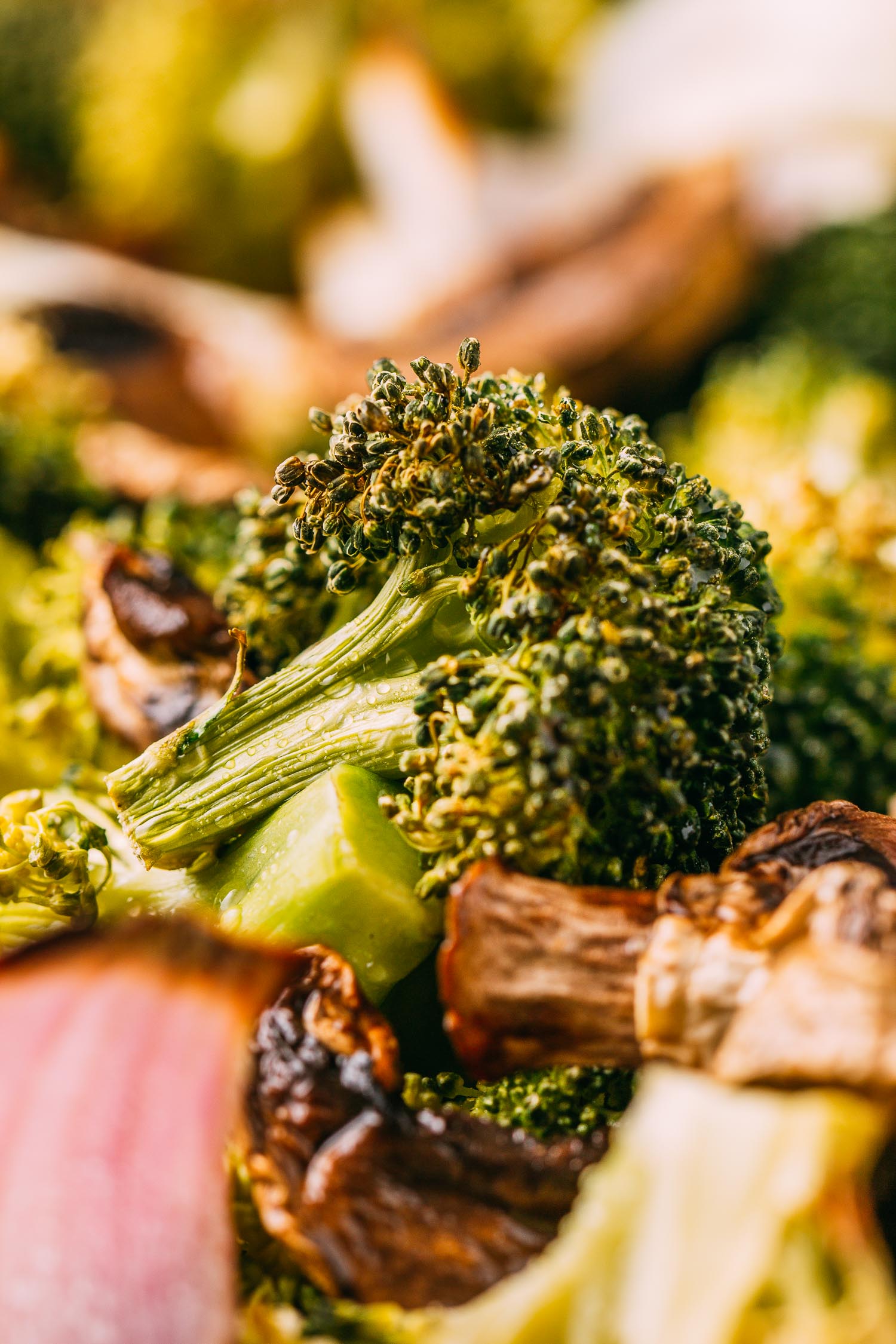 5Minute Lemon Basil Alfredo Sauce, Pasta & Roasted Vegetables Recipe