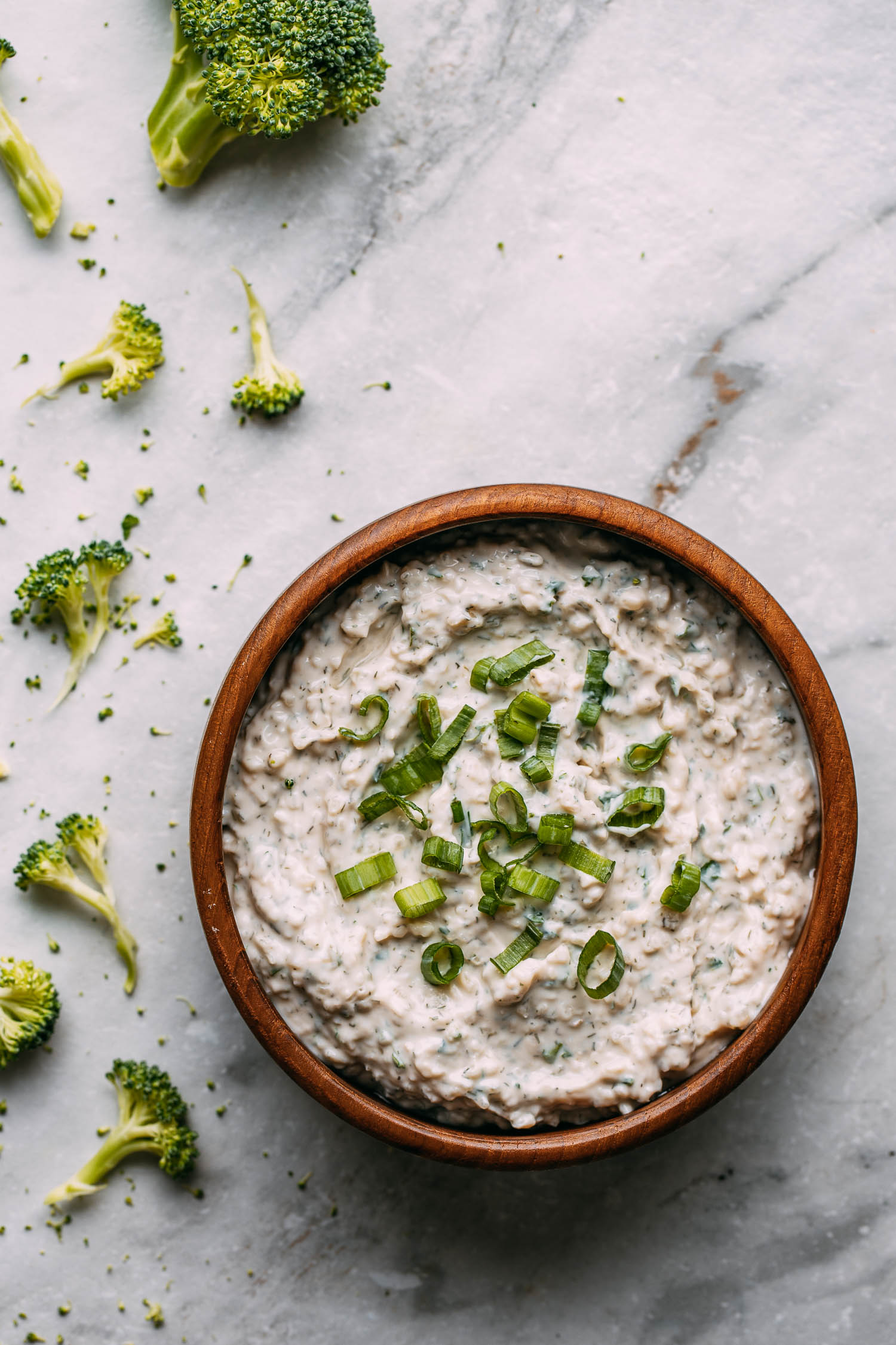 Vegan French Onion Dip GlutenFree Recipe VEEG