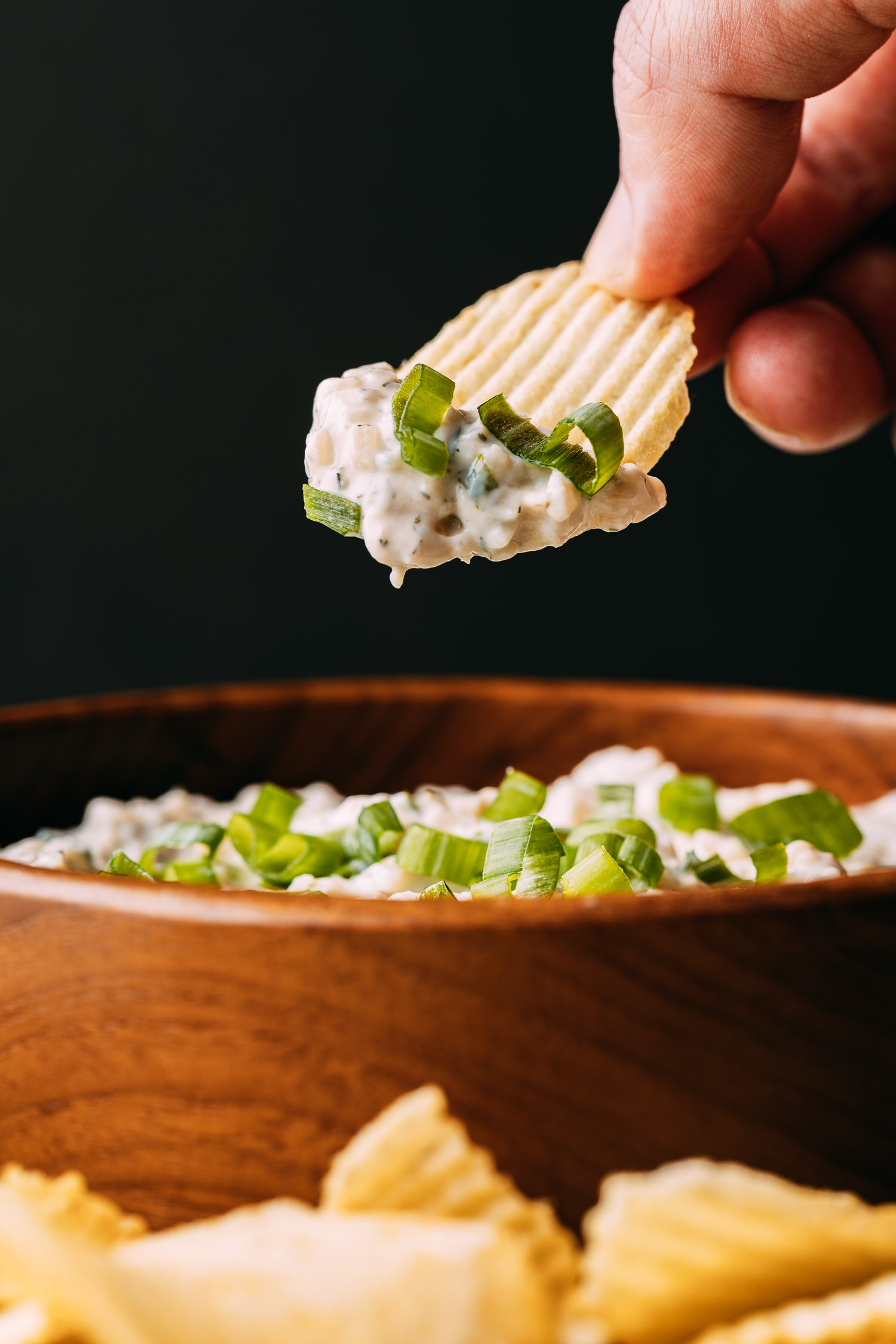 Vegan French Onion Dip GlutenFree Recipe VEEG